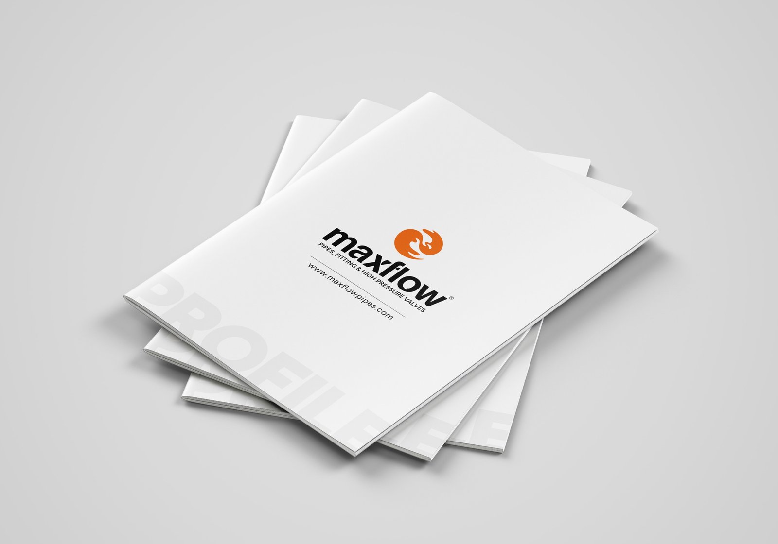 maxflow Company Profile